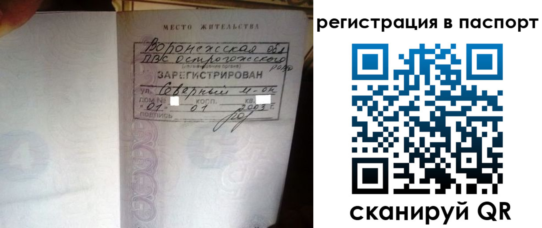 прописка для школы в Камешково